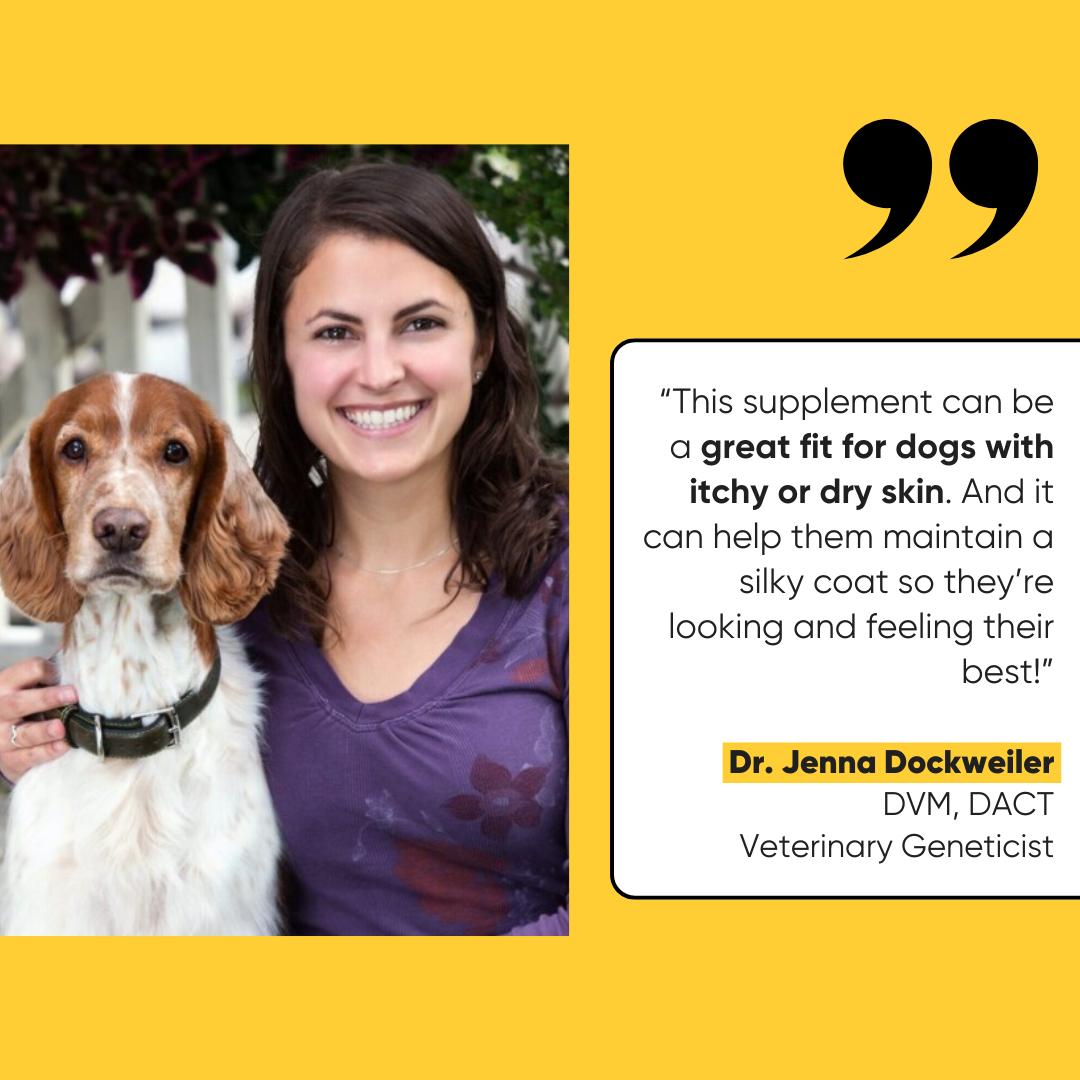 Embark Allergy - Relief for Itchy Skin, Healthy Fur & Coat Care for Dogs - Vet-Backed, Omega & Turmeric Soft Chews