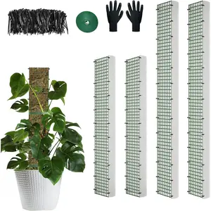 60"/40"/24" Moss Pole, D Shape Sphagnum Moss Pole, Moss Poles for Climbing Plants, Monstera, Indoor Climbing Plants (2 Each of 40" 24")