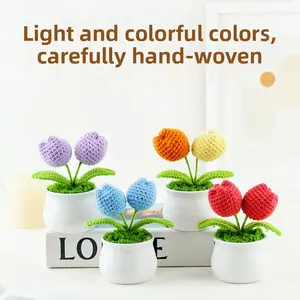 Hand-Crocheted Wool Tulip Mini Plant Pot Desktop/Car/Office Decor Small Gift
