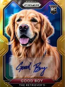 AFC+NFC: The 2 Directional  - 1 vs 1 - Box Break - Multi-Sport- 50/50 Every Time!