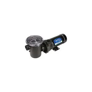Waterway  1 HP Hi-Flo Dual-Speed Pump