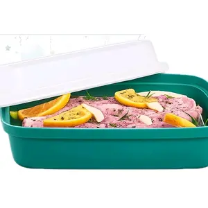 Tupperware Marinator Seasoning Utensils Silicone Freezer Molds for Meat Grill Kitchen Container Lids Perfect for Grilling Enthusiasts Pork