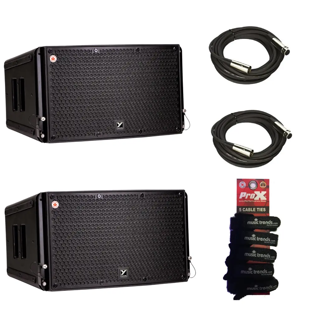 Pair of Yorkville PSA28 Paraline 2x8" Powered Loudspeakers + XLRs