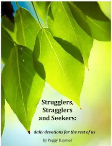 USED-Strugglers, Stragglers and Seekers: Daily Devotions for the rest of us: Daily Devotions for the rest of us by Peggy Haymes (Paperback)