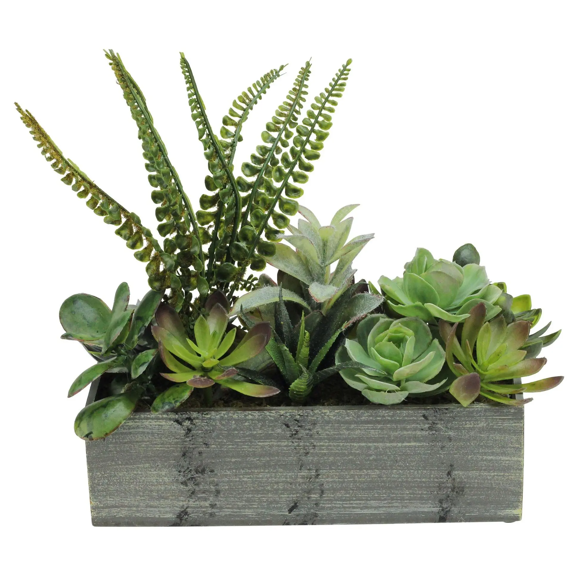 Northlight 11.75" Artificial Succulent Plants in Planter Northlight 11.75" Artificial Succulent Plants in Planter