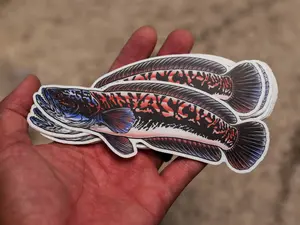 Giant Snakehead Sticker