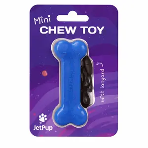 Pup Play Chew Toy Bone with Lanyard - Mini Blue