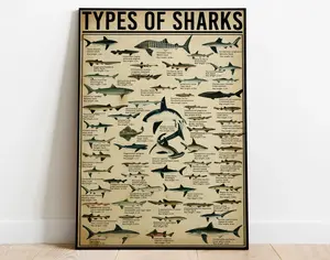 Shark Knowledge Poster, Types Of Shark Poster, Shark Identification Guide Knowledge Poster, Shark Wall Art Home Decor, Identification Guide