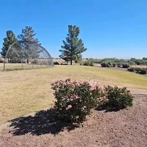 Free Ranged Air with Eco Friendly Packaging