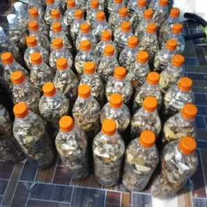 Natural, Traditional African Roots Herbal