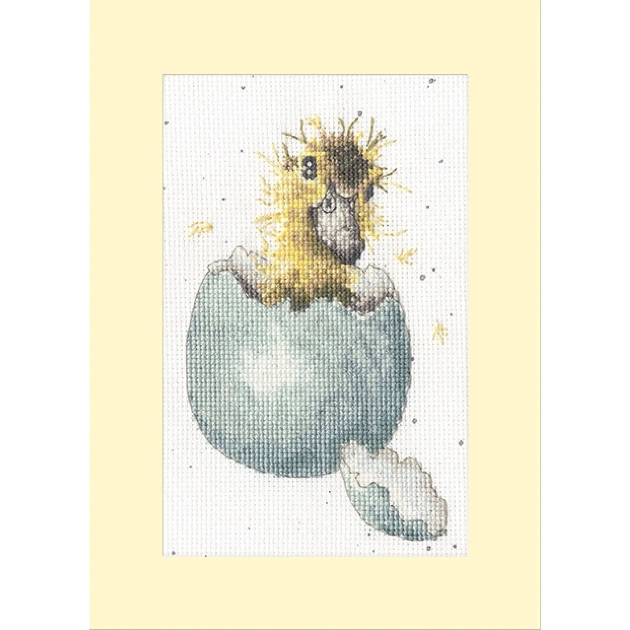 Peek-A-Boo Counted Cross Stitch Kit by Bothy Threads XGC48