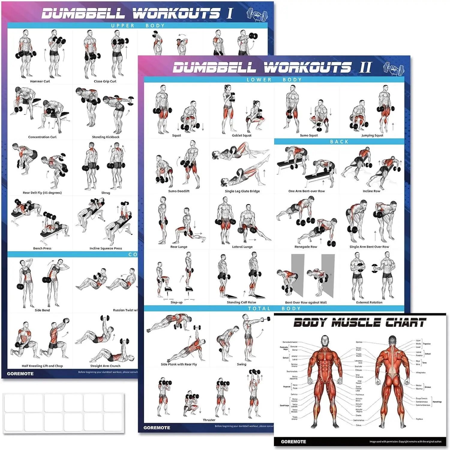 Dumbbell Workout Poster Set (2 Pack) - Workout Charts for Home Gym, Volume I & II - 18" x 24" with Enlarged Dumbbell Exercise Illustrations straps Decor Water Proof Tape Hanging Ornaments Artistic Decoration Print Photo Wall