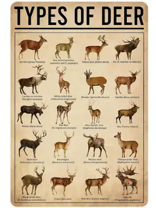 Deer Gifts Types of Deer Vintage Tin Sign for Home Office Farmhouse Man Cave Classroom Wall Art Decor 8x12 Inch Educational & Durable Rustic Charm