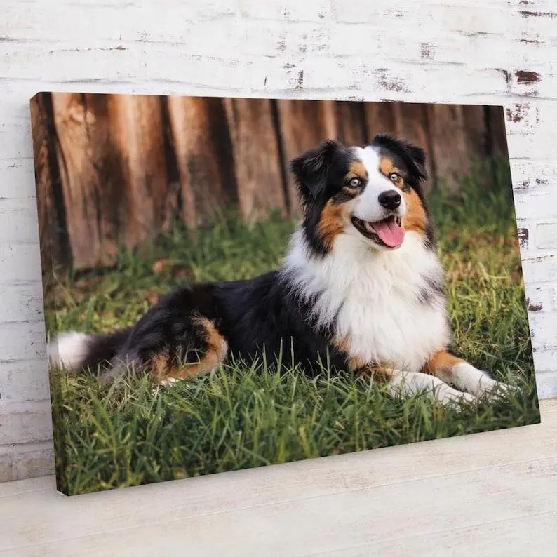Custom Dog Photo Canvas  poster | Pet Portrait Wall Art | Pet Photo Canvas | Personalized Pet Photo Gift | Dog Portrait Canvas