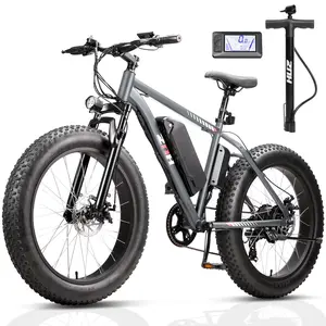ZNH-18 grey/black 24-Inch Adult Electric Bike 1000W Peak Brushless Motor 48V13Ah Removable Battery Commuting Outdoor Off-Road E-Bike 2026 New Fat Tire