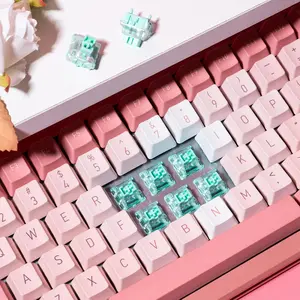 GATERON Magnetic Jade Gaming Keyboard Switches, HiFi Sound Wall Stem Linear Factory Pre-lubed Permanent Magnet Freely Setting Pre-Travel Key Switches for Magnetic Gaming Keyboard(70PCS)