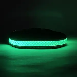 LED Dog Collar