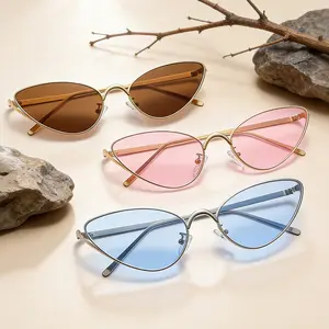 Y2K cat-eye retro fashion polarized sunglasses, suitable for daily use, beach trips, and driving as eye protection and sunblock Glasses women