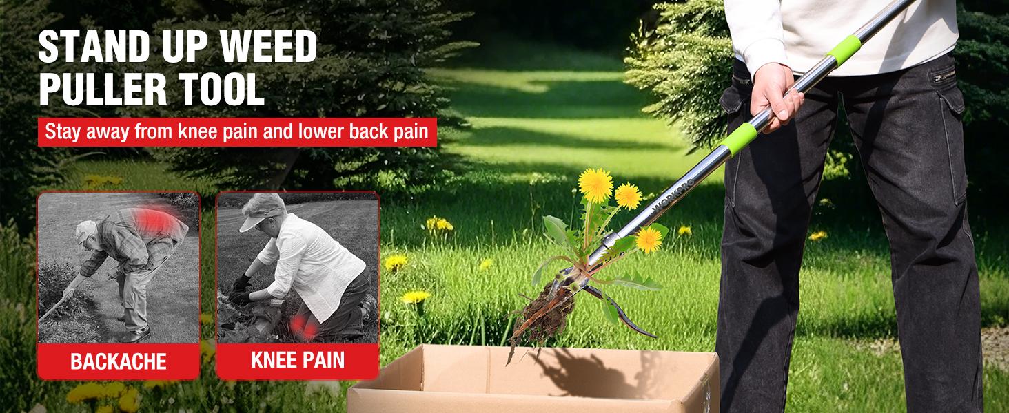 #fathersdaygift WORKPRO Weed Puller Tool with Long Adjustable Handle (33", 46"), Stand Up Heavy Duty Weed Remover- 4 Claw Steel Head & Foot Pedal for Easy Weeding, Detachable Dandelion Picker for Lawn/Yard/Garden