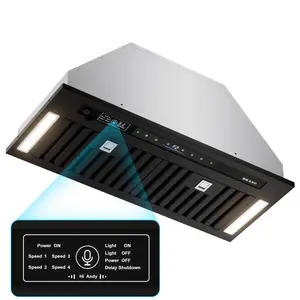 BRANO Range Hood Insert 30 Inch,Smart Voice/Gesture/Touch Control,900 CFM，4 Speed Exhaust Fan, Stainless Steel Kitchen Hood with Charcoal Filter