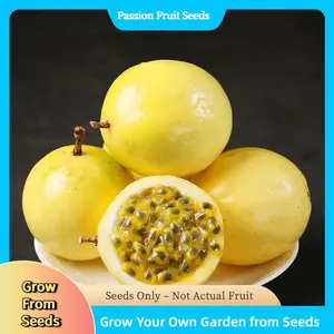 100 Passion Fruit Seeds – Exotic Tropical Vine, High Germination, Lush Greenery & Sweet Juicy Fruits for Home Growers
