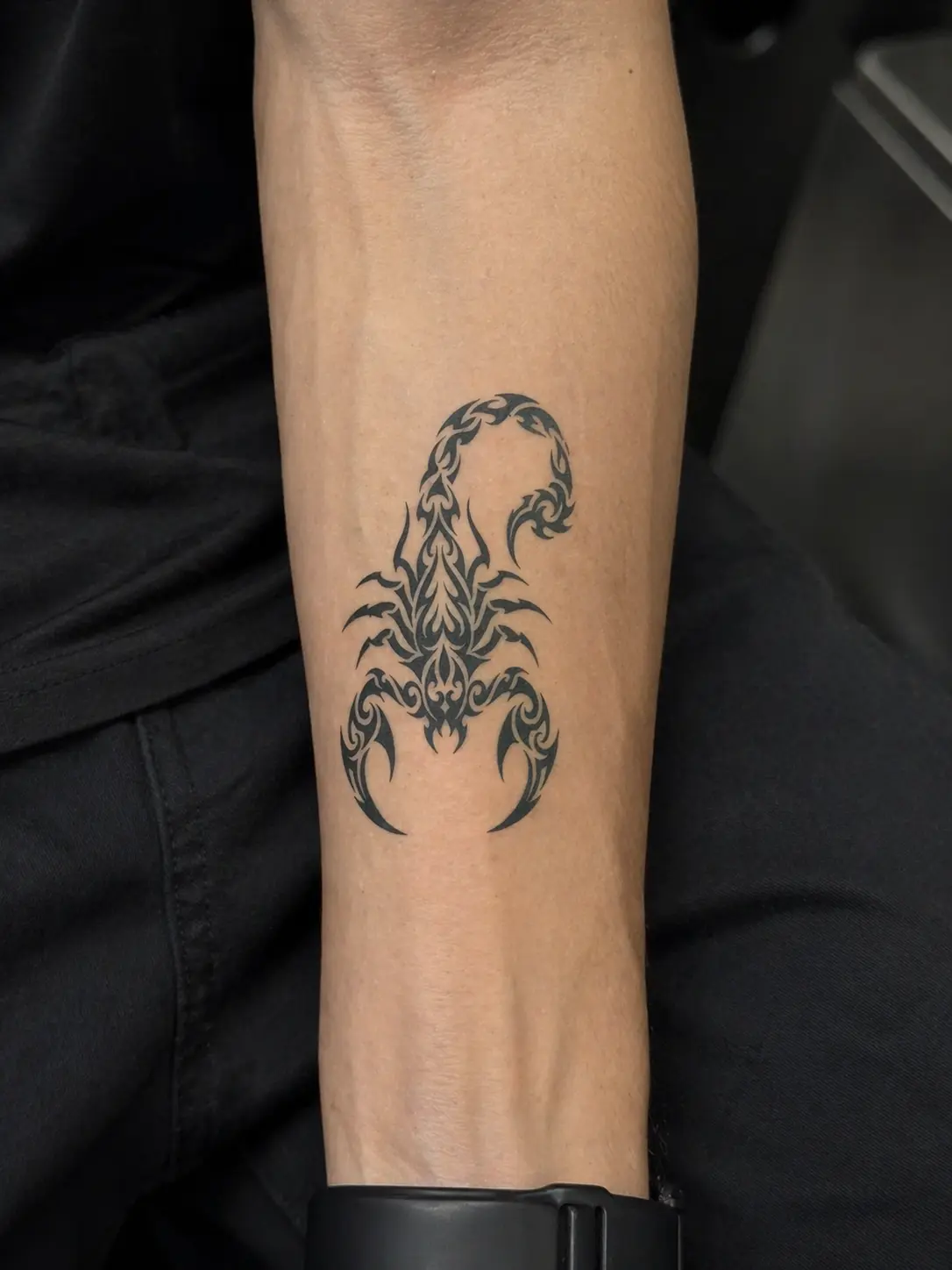 Scorpion Tribal Tattoo | Realistic Water-Free Temporary Fake Tattoo (7cm x 4.3cm)