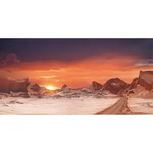 72x18 inches Sun and Desert Terrarium Background Orange Reptile Habitat Durable Polyester Background