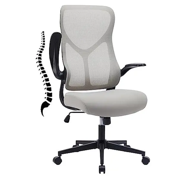 【Deal】Ergonomic High-Back Mesh Office Chair - Ergonomic Furniture with Adjustable Seat, Flip-Up Arms, Height Adjustment, Modern Sturdy Design for Executive Home Office Use