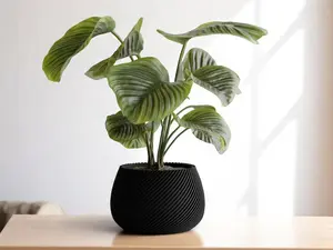 ZenRipple Pebble Planter - Ribbed Minimalist Indoor Flower Pot for Succulents, Cactus, Snake Plant & Air Plants - Ideal for Indoor Plants & Outdoor Accessories