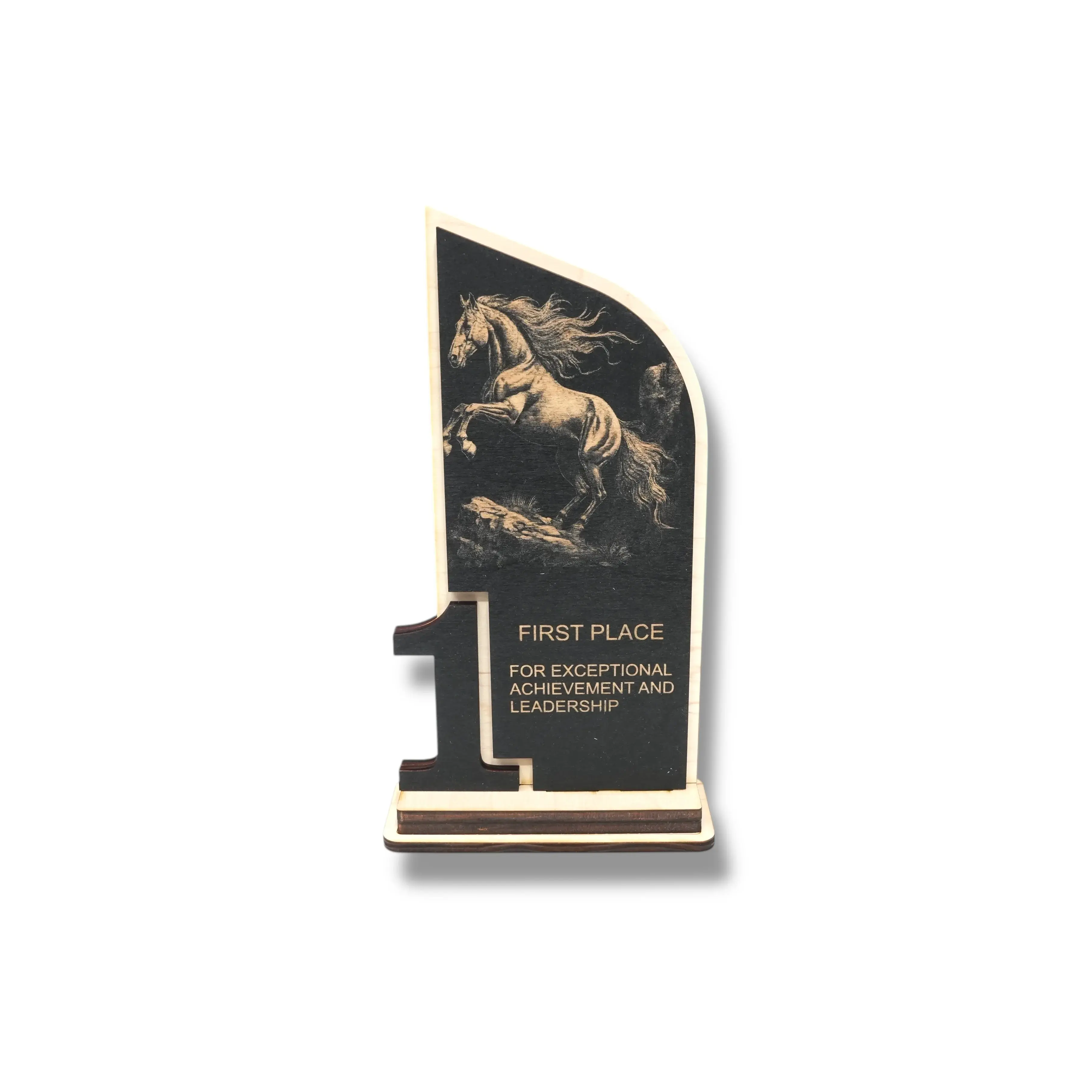 Award - Trophy - CUSTOM - Horse - 1st 2nd 3rd Place - 9x5 Inches