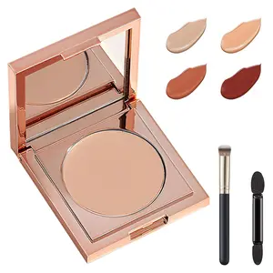 Colored Clay CC Undereye Corrector - Light Skin, 1 with Brush, Under Eye Hydrating Concealer & Concealer for Dark Circles - Makeup, Foundation