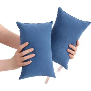 2 Pack  Pillows, 11"x7" Microfiber Mini Pillow for Travel, Pets, Soft and Machine Washable Small Pillows for , Wrist, and  Comfort, Denim Blue
