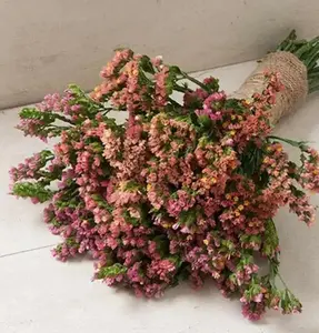 Statice Seed - SUNSET Mix - Elegant Floral Arrangement for Home Decor