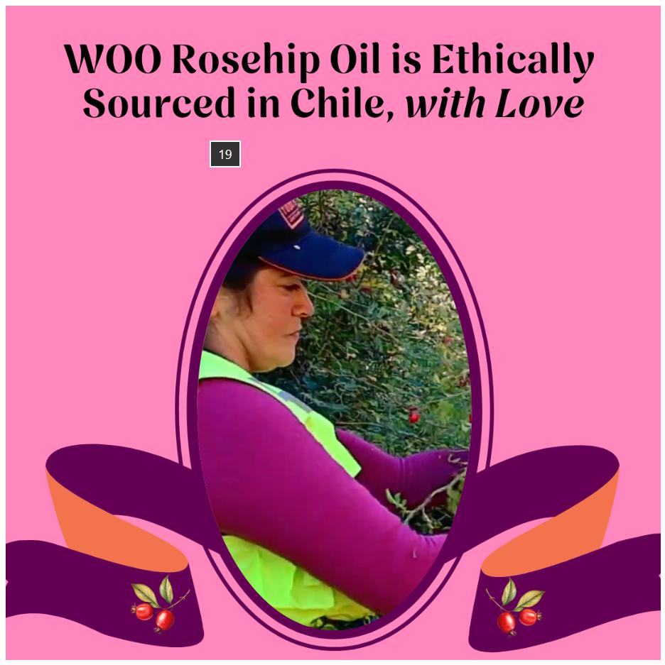 WOO World of Oils Glow-To-Go Set – 100% Organic Cold-Pressed Beauty Oils for Skin, Hair & Nails | Hydrating, Brightening, Non-Greasy | Travel-Size Multi-Use Kit