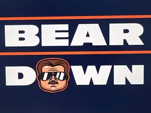Bear Down Box Divisional Break
