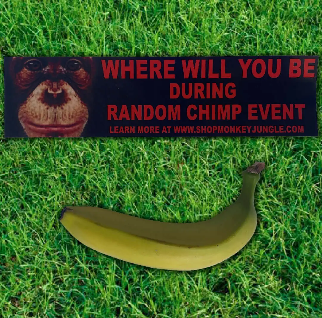 Random Chimp Event Bumper Sticker