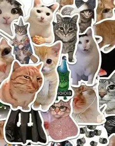 Random 5 Stickers Gift