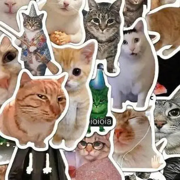 Random 5 Stickers Gift