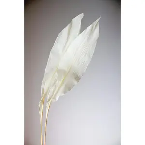 Dried Iron Leaf Floral Accent - Ikebana Style Home Decor