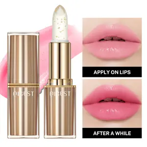 Long Lasting Lipstick, 1 Count Moisturizing Lipstick, Temperature Change Lipstick, Glossy Lip Glaze Stick, Plumping Lip Oil Lip Stick for Girls & Women, Makeup