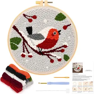 Punch  Kit for Beginners,DIY   Rug Embroidery Kit with Little Bird  for Adult , Punch  Starter Kit with Tool for  Decor