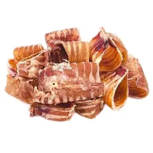 USA Beef Trachea Bites (1 Pound) 100% Natural Dog Chew Treats - Single-Ingredient
