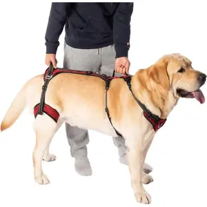 Mobility Dog Lift Harness, Support Sling for Dog, Dog Walking Sling, Pet Rear Leg Support Rehabilitation Lifts Vest, Dog Carrier for Senior Dogs with Arthritis, Up Stair (Red, S)