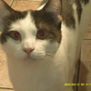 Product Review of Digital Camera, 1080P & 44MP, 32G Memory Card, 16X Digital Zoom, Compact & Portable Digital Camera Photos For Teens & Beginners, Gift #TOP PICKS,Boys & Men gifts from V**e 🦢**