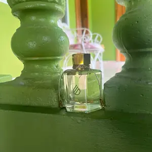 EVOLVE Reed Diffuser | Aromatherapy Home Fragrance for Healing & Renewal | The Wellness Doula