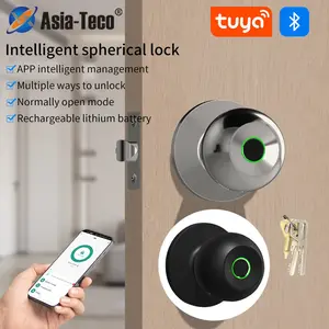 Fingerprint Door Handle Lock, Smart Door Knob with APP Control, Biometric Thumb Unlocking Door Lock for Bedroom Garage Office, Door Hardware