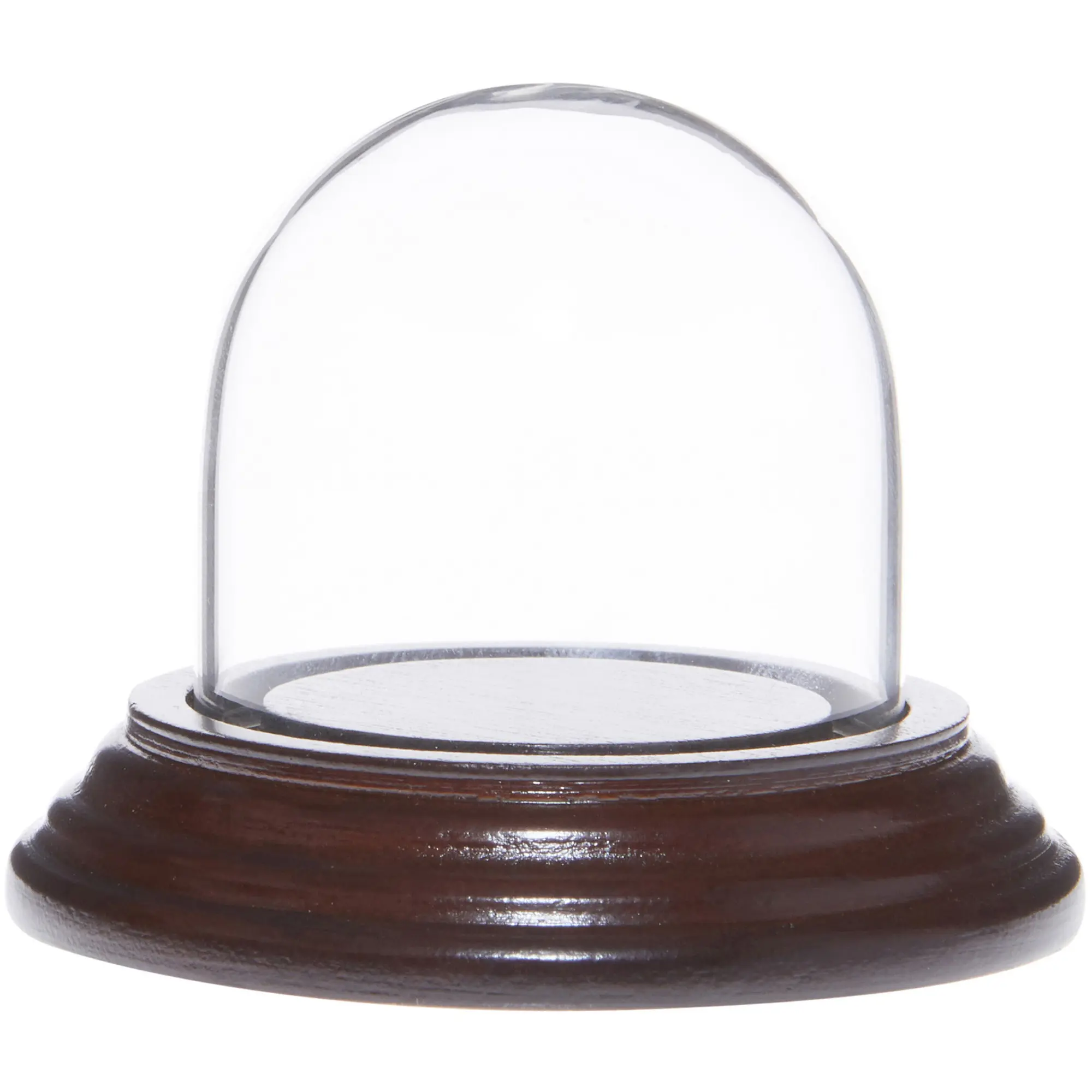 Plymor 1.875" x 1.875" Mini Glass Display Dome Cloche