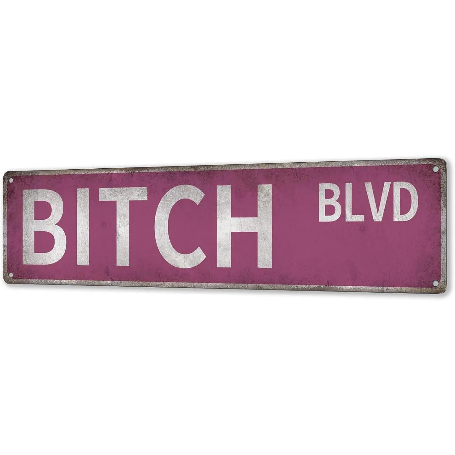"Bitch Blvd" Pink Metal Y2K Street Sign Plaque - 16x4in Sassy Home Decor for Teen Bedrooms, College Dorms, 2367