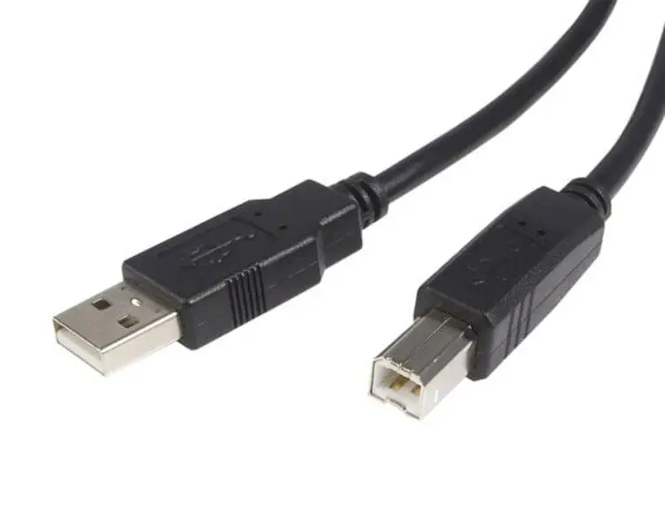 STARTECH 6' V2.0 Fully Rated USB A Cable - Single Cable for Peripherals, High Quality Connection, Durability, Audio & Video Accessories