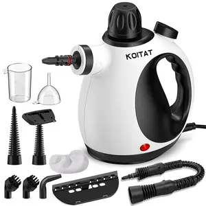 Pressurized Handheld Multi-Surface Natural Steam Cleaner with 10 pcs Accessories, Steamer for Home Use, Cleaning Floor, Kitchen,  Spring clean Appliances Tool Household